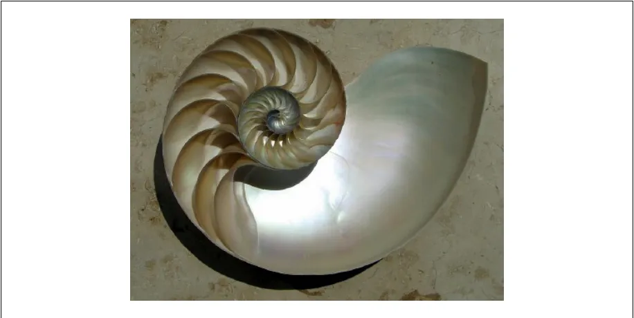 Figure 3.12:Nautilus shell cut in half[1]