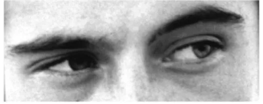 Fig. 2. An example of the Eyes Test stimulus.