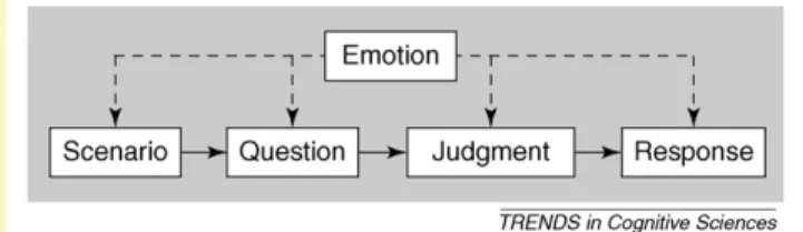 Figure I. Possible roles of emotion in moral cognition.