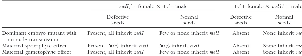 TABLE 2