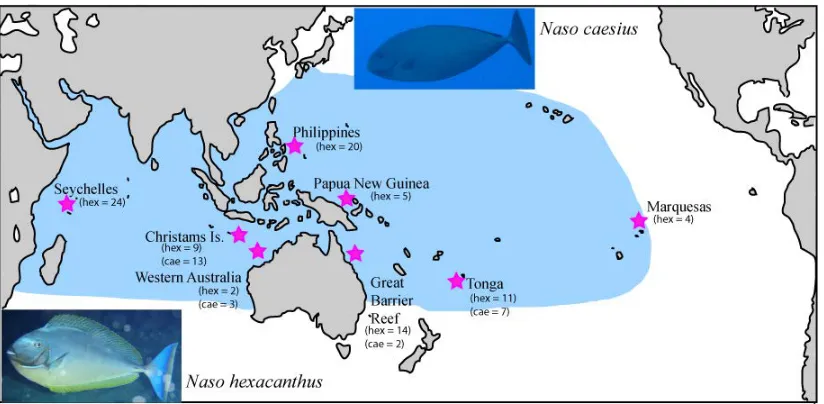 Figure 2.4: Sampling locations of recently settled N. unicornis recruits from Guam and Saipan