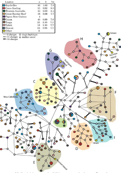 Figure 4.2 Median joining network of 196 N. unicornis haplotypes. For each population, sample size (n), haplotype diversity (h) and nucleotide diversity (%π) are provided