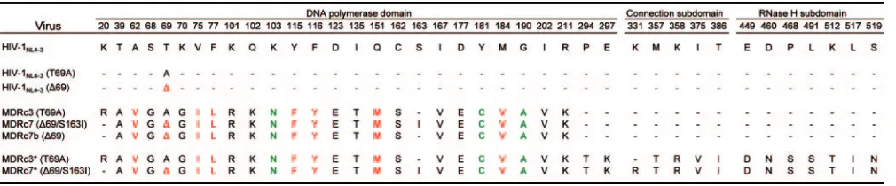 TABLE 1. Amino acid substitutions within the RT of recombinant HIV-1 clones used in this studya