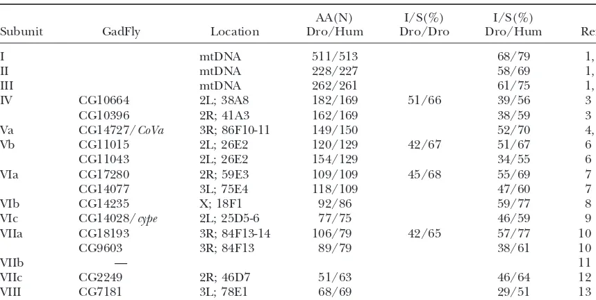 TABLE 4