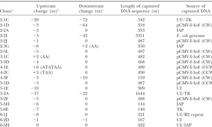 Figure 4.—DNA junctions within a palindromic sequenceﬁgure is one strand of a 27-bp perfect palindrome from theSV40 origin of replication, with a 13-bp perfect direct repeatunderlined