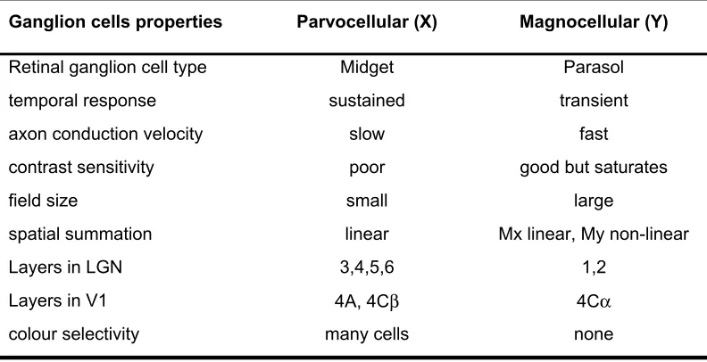 Fig. 1.7. Cross-section of monkey's optic nerve. Thick axons, from M cells, usually have thicker 
