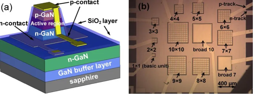 FIG.1: (a) 3D schematic (not to scale) of a typical µLED pixel (basic unit to form µLED cluster devices); (b) optical microscope image of the µLED cluster devices and 