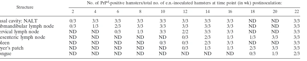 TABLE 3. Temporal deposition of PrPd in extraneural structures after e.n. inoculation