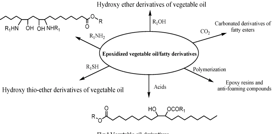 Fig 1 Vegetable oil derivatives   