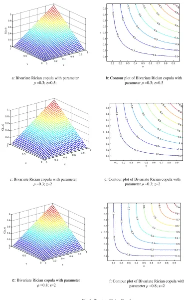Fig. 3: Bivariate Rician Copula 