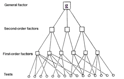 Figure 7.3  Carroll’s hierarchical latent variable model of intelligence: tests load on first  order factors, which load on second order factors, which load on the general factor.