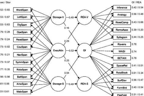 Figure 7.7  Kane et al.’s (2004) “executive attention” interpretation as the general factor  underlying working memory task performance.