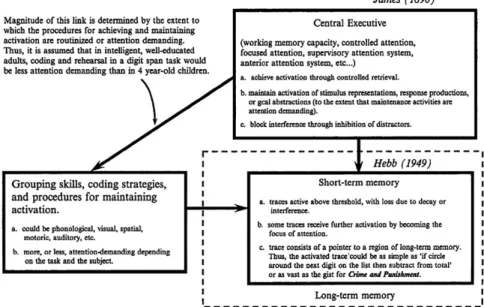 Figure 7.8  Engle and Kane’s (2004) illustration of the components of working memory.