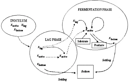 Figure 2.2 Process scheme for the kinetic model (Andres-Toro et aI, 1998) 