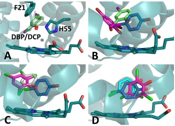 Figure 2.6. Superposition of selected halophenol binding sites. A) 2,4-DBP (green) and 2,4-DCP (silver), showing these two molecules possess identical binding sites