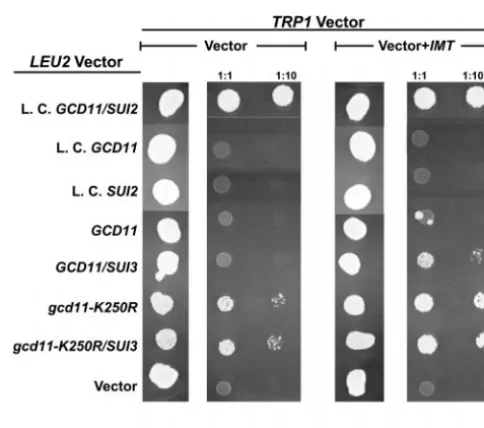Figure 3.—Suppression ofthe lethal effect associated with