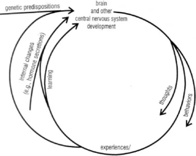 Figure 3: A biopsychosocial model as a framework for understanding  cognitive sex differences (Halpern, 2000; 2004)