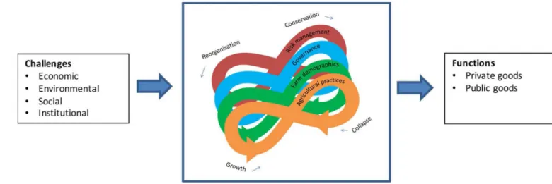 Fig. 1. Adaptive cycles in agriculture.