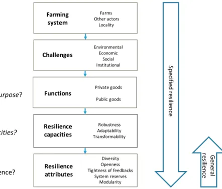 Fig. 2. Framework to assess resilience of farming systems.