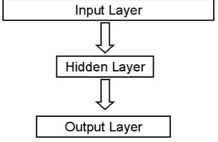 Figure 1 A simple feed-forward network for learning to categorize on the basis of input 
