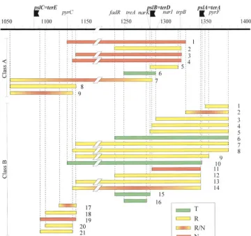 Figure 2.—Segment behaviortests are as follows: SV1 for segments B1 to B5; SV2 for segments A1 to A5, B6 and B8 to B14; SV3 for segments A6, B7, B15, pyrC–zci-1344 zce-1098–zce-1137 zch-1282–zcj-1378; 11, zch-1282-pyrF; 19,; 5, zch-1275–zcj-1378 zcd-1092–z