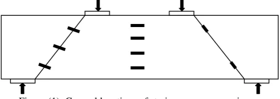 Table (4): Strain gauges locations on specimens direction 