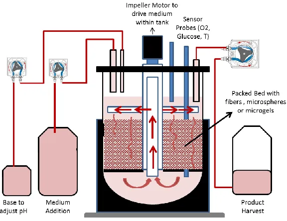 Figure 2-7: Packed Bed bioreactor setup.  Controller station (not shown), which typically contains the thermal mass flow controller 
