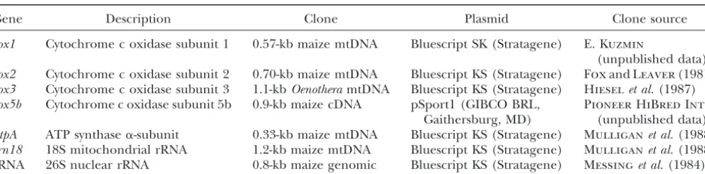 TABLE 2