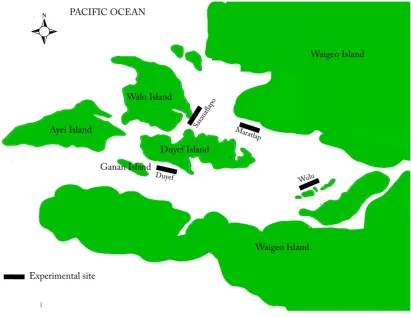 Figure 2.1. Location of the experimental sites within the P. maxima pearl farm site in West Papua