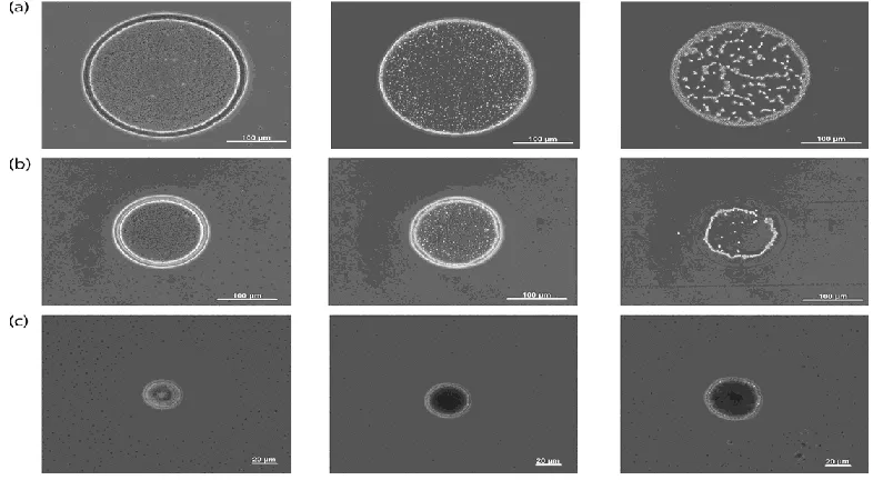 Figure 1-12: Inkjet printed droplets of aqueous suspensions of silica particles on high surface 