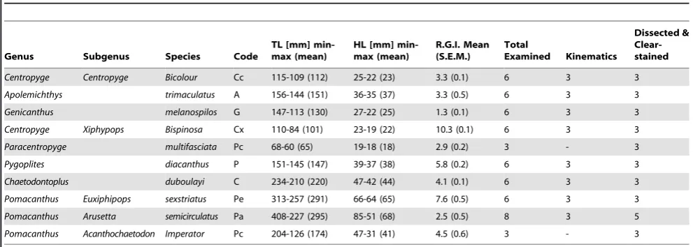 Table 1. Summary of taxa examined. Listed according to phylogenetic ranking (Figure 1).