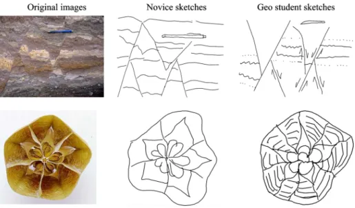 Figure 6 also reveals another interesting trend. Several geoscience students added relational symbols (which were not present in the original photos) to their sketches