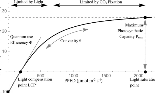 Figure 1.1: Example light response curves as denoted by the non-rectangular  hyperbola indicating the shaping parameters