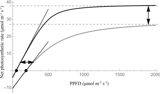 Figure  1.2:  Example  light  response  curves  from  a  C 3   (grey  line)  versus  C 4