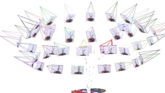 Figure  2.3:  Output  of  VisualSFM  indicating  the  automatically  calculated  camera positions and corresponding photographs surrounding the target plant