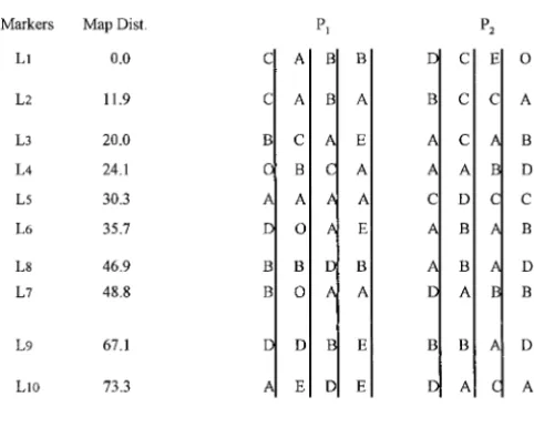 TABLE 6