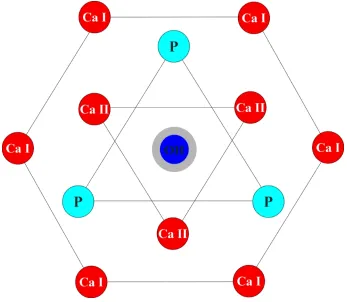 Figure 2- 1 Schematic drawing of HA lattice [9]. 