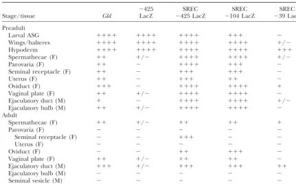 TABLE 1