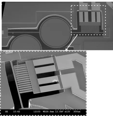 Figure 1: Layout of the AVC scanning micromirror including layer structure and comb-offset view  