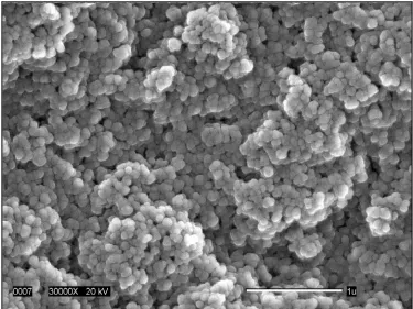 Figure 4.2b.  Fractured surface observed by scanning electron microscopy of a 12% (w/v protein) 