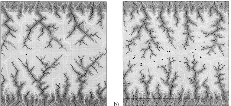 Figure 1: Regular and irregular data models comparedperformed on a regular grid. The simulated river channels have a shape strongly controlled by the regular geometry of the grid