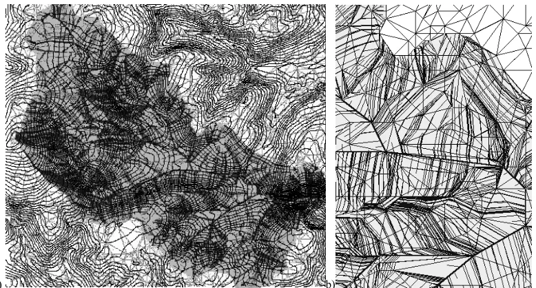 Figure 5:  (a) Example output from TINMOD, overlain by contours (the TIN can be seen in grey)