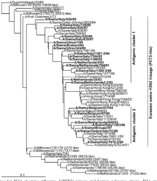 FIG. 1. Phylogenetic tree for HA1 of swine inﬂuenza A(H3N2) viruses and human reference strains