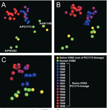 FIG. 2. Antigenic and genetic maps of swine and human H3N2 viruses. The relative positions of strains (colored spheres) and antisera (notshown) in the maps were computed such that the distances between strains and antisera in the map represent the corresponding HI measurements