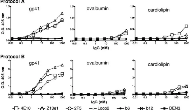 FIG. 8. The anti-MPER MAbs Z13e1, 4E10, and 2F5 may react weakly and somewhat nonspeciﬁcally with unrelated antigens in an ELISA inwhich detergent is limiting