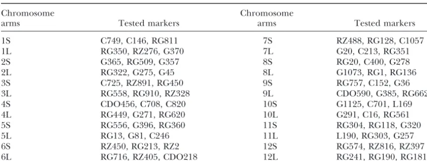 Figure 1.—Dosage analysis of different RFLP markers inthe two telotrisomics of chromosome 1; DNA in lanes 1 and2 from 2nProbed with G275 that is mapped on 2L; (B) probed withRG350 mapped on 1L; and (C) probed with C749 mapped�·1S and DNA in lanes 3 and 4 f