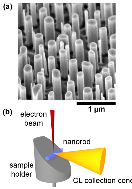 Figure 1. (a) Typical SE image of the nanorod array after the etchprocess, showing nanorods with diameters in the range of100–300 nm