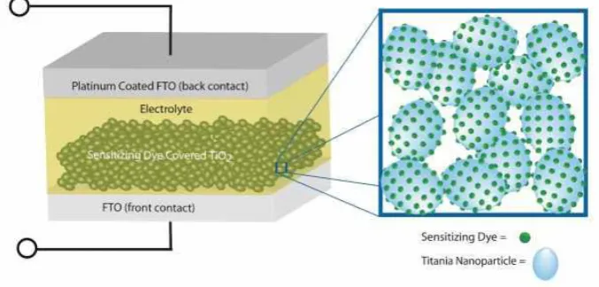 Figure 1: The structure of solar cell [12] 