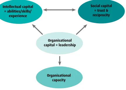 Figure 7: Developing capital within a school