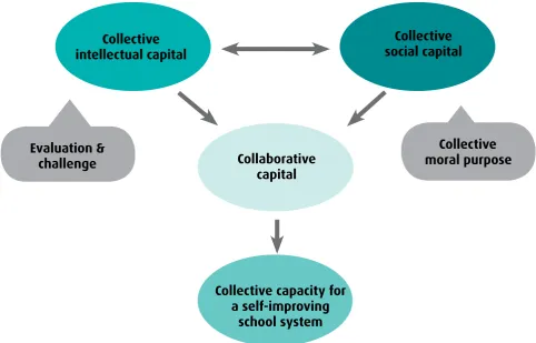Figure 8: Development of collaborative capital